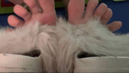 Inside My Slippers