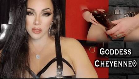 Cell Mate Strap-On wmv