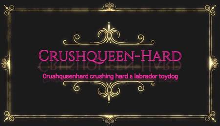 Crushing toydog labrador in nylons and wooden Berkemann sandals