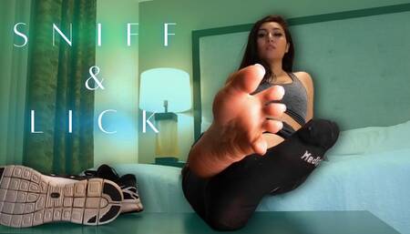 Lick & Sniff 1080p mp4