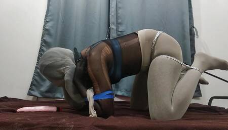 Doggy training_1
