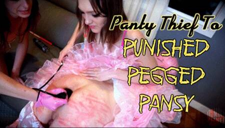 Panty Thief To Punished, Pegged Pansy (HD 1080P MP4)