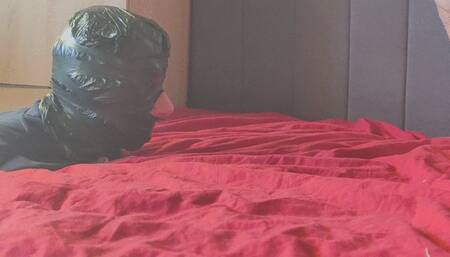 Tied to bed foot sniffing