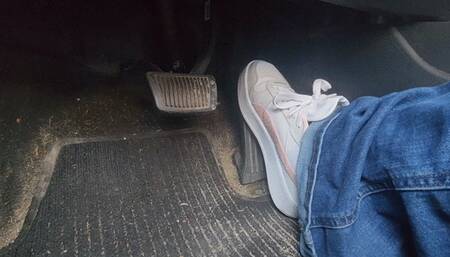 Highway Cruise in Pumas