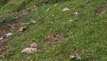 Me peeing outside and you lay under me Love SexyBoudicca