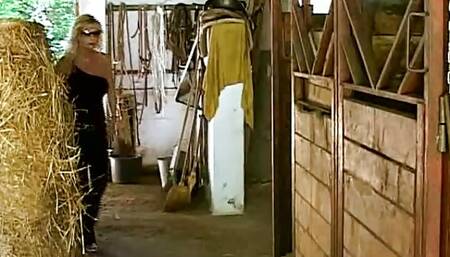 La Moglie Insoddisfatta (Full Movie)