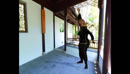 CFP- Kung Fu Practice