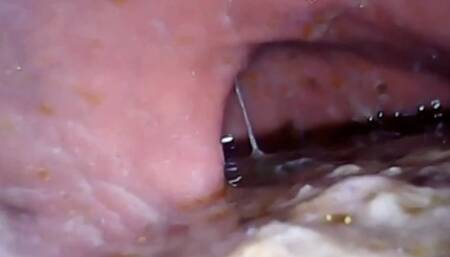 Lots of sushi and exploration Microcamera - Extreme Vore video 1080HD