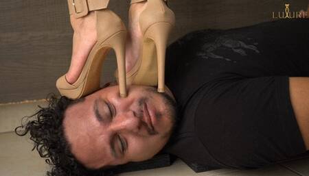 No perder la costumbre Don't lose the habit