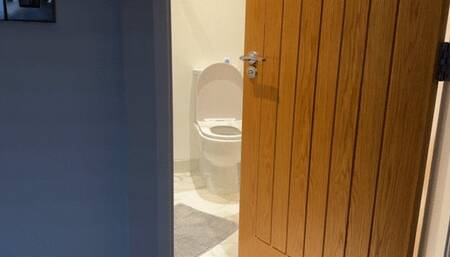 Stepson watching stepmom toilet pee