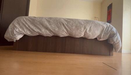 preparing for exams wmv