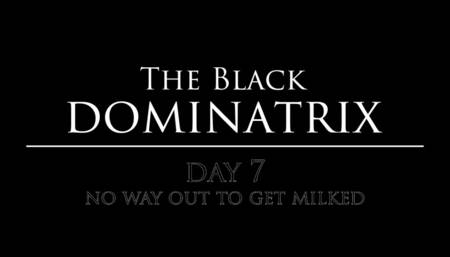 The Black Dominatrix Day 7 - cock stuck between chair to get a hard milking - FEMDOM