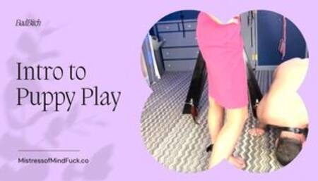 Intro to Puppy Play