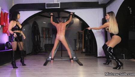 WHIPPED MERCILESSLY HD