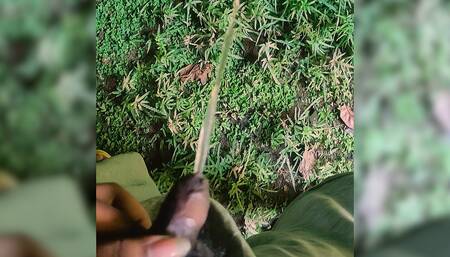 Small Penis College Boy Pissing Outdoor Teen pissing , naked , Sri lankan teen showing his tiny penis