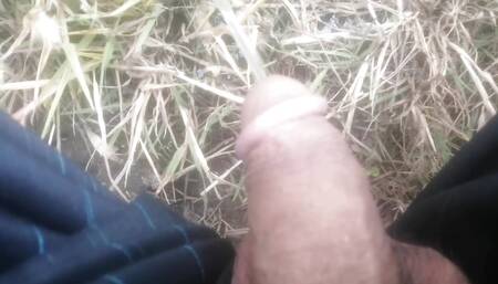 Pissing village gay my desi cock