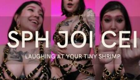 SPH JOI CEI:LAUGHING AT YOUR TINY SHRIMP