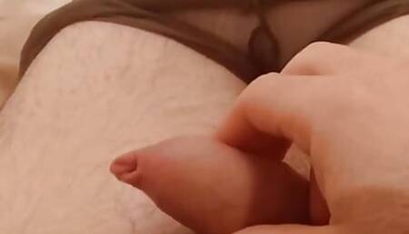 Plugged Sissy Cums in Tights