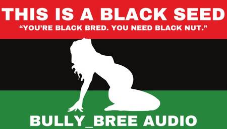 This Is A Black Seed Audio