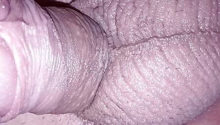 Testicles and anus