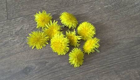 trample dandelions in shoes ST