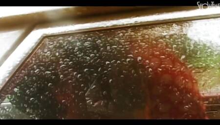 Animal Instinct - Part 01