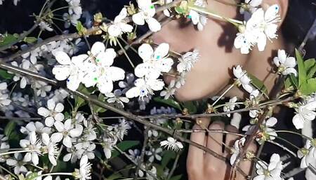 I had sex with a stranger at my house after the park