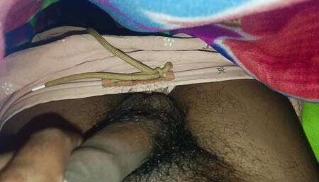 Desi Boys Hard Sex Videos Tiger PoP Hard Fucking Indian