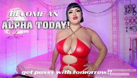 Become an ALPHA Today