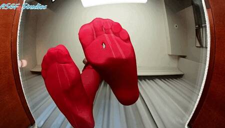 Exotica back and on the glass!! Pt 3 - MOV