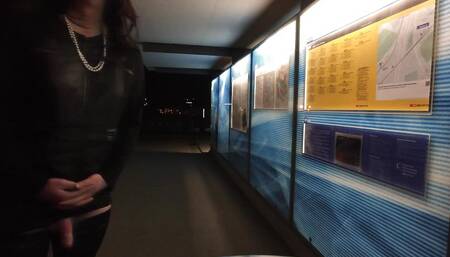 Exhibitionist Crossdresser caught at public train station