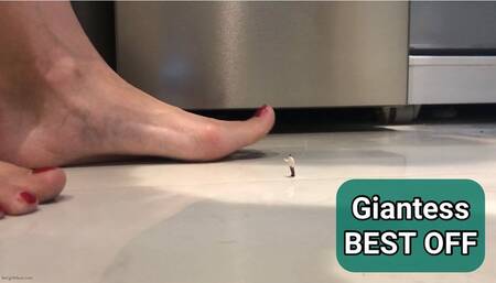 UNAWARE GIANTESS WITH BIG FEET BEST OFF - MOV MOB discounted price