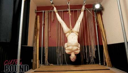 The Upside Down Toy (Eryn Rose) Low Res