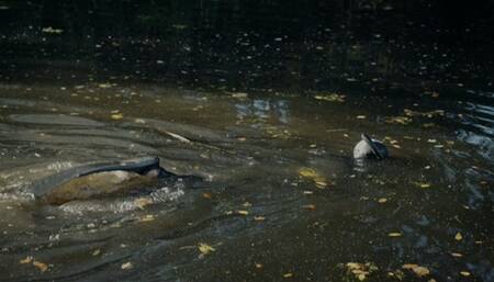 Wetsuit Secret Agent Spy Mission