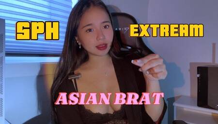 Asian Brat SPH