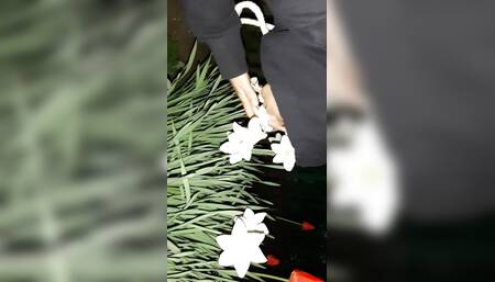 First I invited my neighbor to admire the flowers, and then I fucked her in the mout