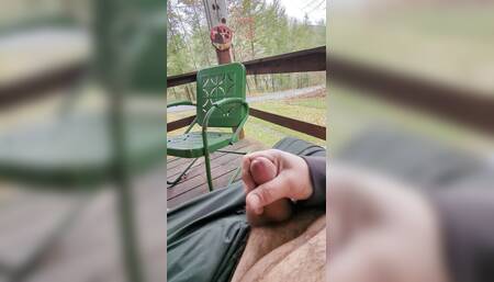 Midmorning on the front porch swing.