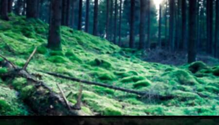 Sorrow (LustFight) - Ep 1 - Wonderland By RedLady2K