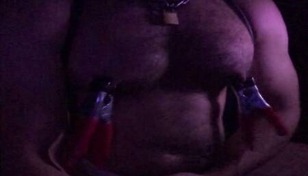 Hairy Hunk Pig - Extreme Nipple Clamps