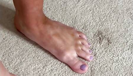 PAWG Wife Getting Drilled by Fuck Machine and Hubby