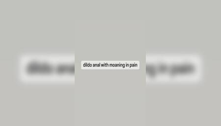dildo anal with moaning in pain