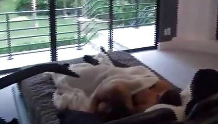 The legacy, Jeremy Joins In