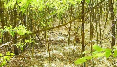 Lady Alice compilation 09 endless wild passion (mesmerize version) View originals by subscription 4K UHD 60 FPS HDR