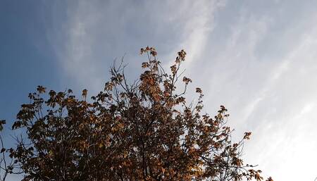 I jerked off my neighbor's pussy in the village, and she licked it for me - Lesbian-illusion