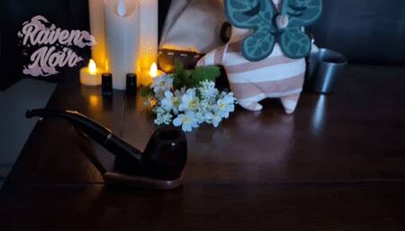 Breeding the Elf Tavern Maid - Dungeons and Dragons Series - Vol 1