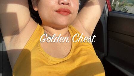Golden Chest