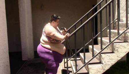 500 lb Vs 630 lb Stair Compare Compilation HD