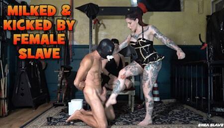 ENEA SLAVE - MILKED & KICKED BY FEMALE SLAVE - mobile version