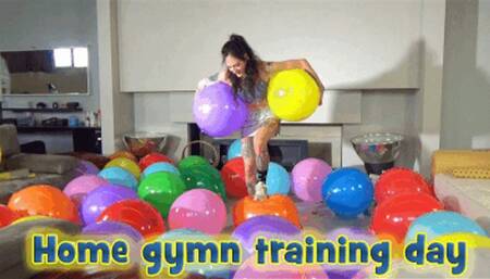 Home gymn training day
