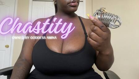 Chastity Owned By Goddess Amina